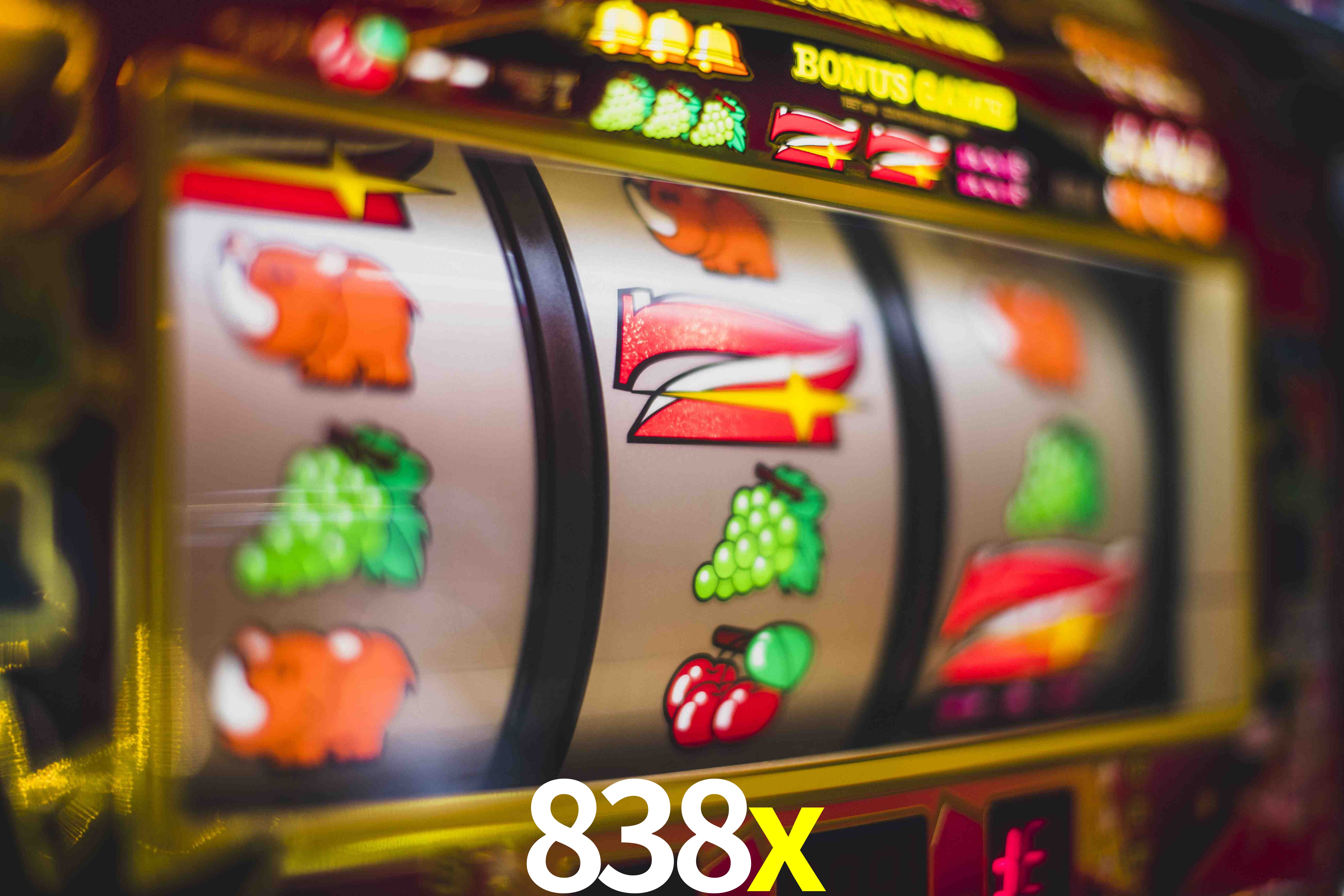 Statistics 838x